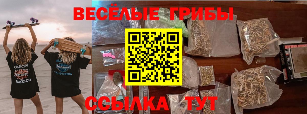 Псилоцибиновые грибы ЛСД  Галлюциногенные грибы Psilocybine cubensis  Вход с VPN  Губкинский 
